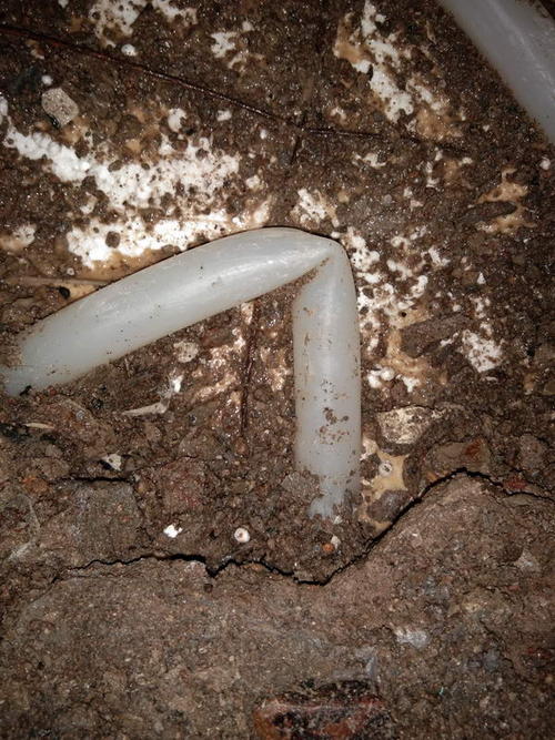 扶沟堵点精准查找